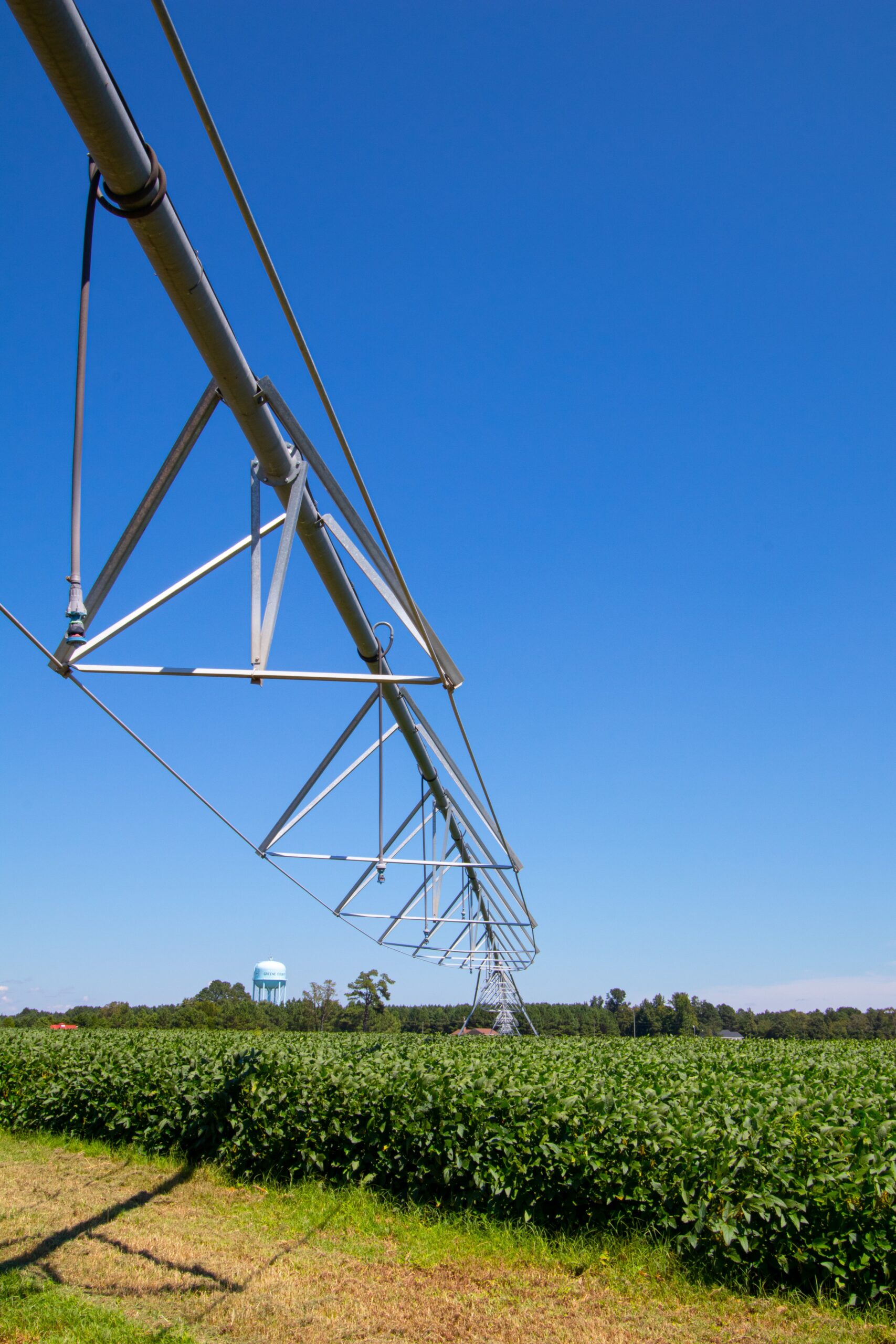 AI-Based Irrigation Management and Control System for Improved Water Efficiency