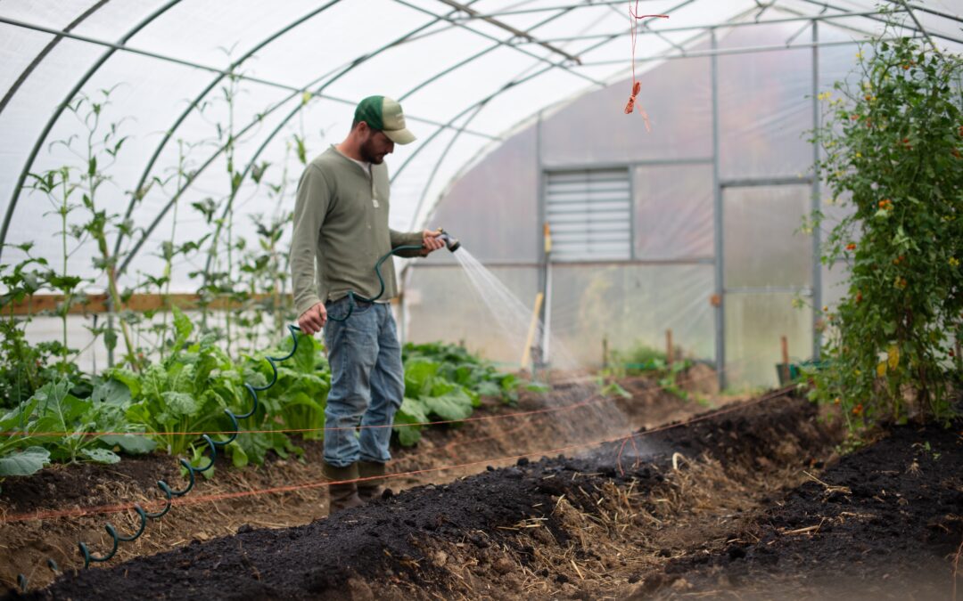 Accessibility of Smart Agriculture Technologies among Small Farmers in Central San Joaquin Valley