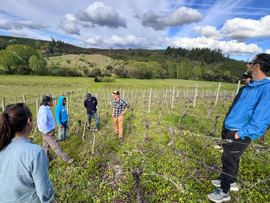 UC Merced Researchers Build International Ties in Chile to Advance AI in Agriculture